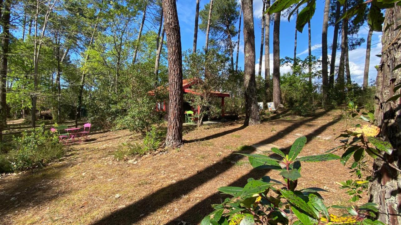 Le Petit Poulailler Au Beau Milieu Des Pins Villa Lacanau Exterior photo