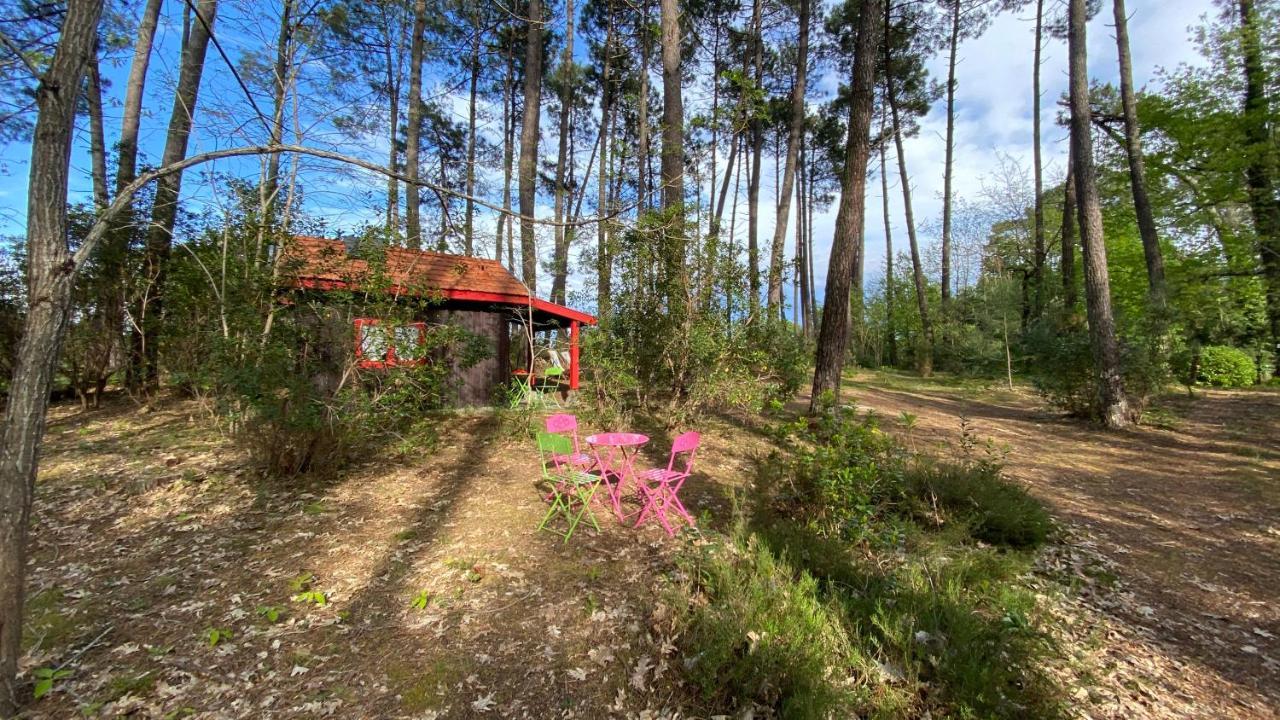 Le Petit Poulailler Au Beau Milieu Des Pins Villa Lacanau Exterior photo