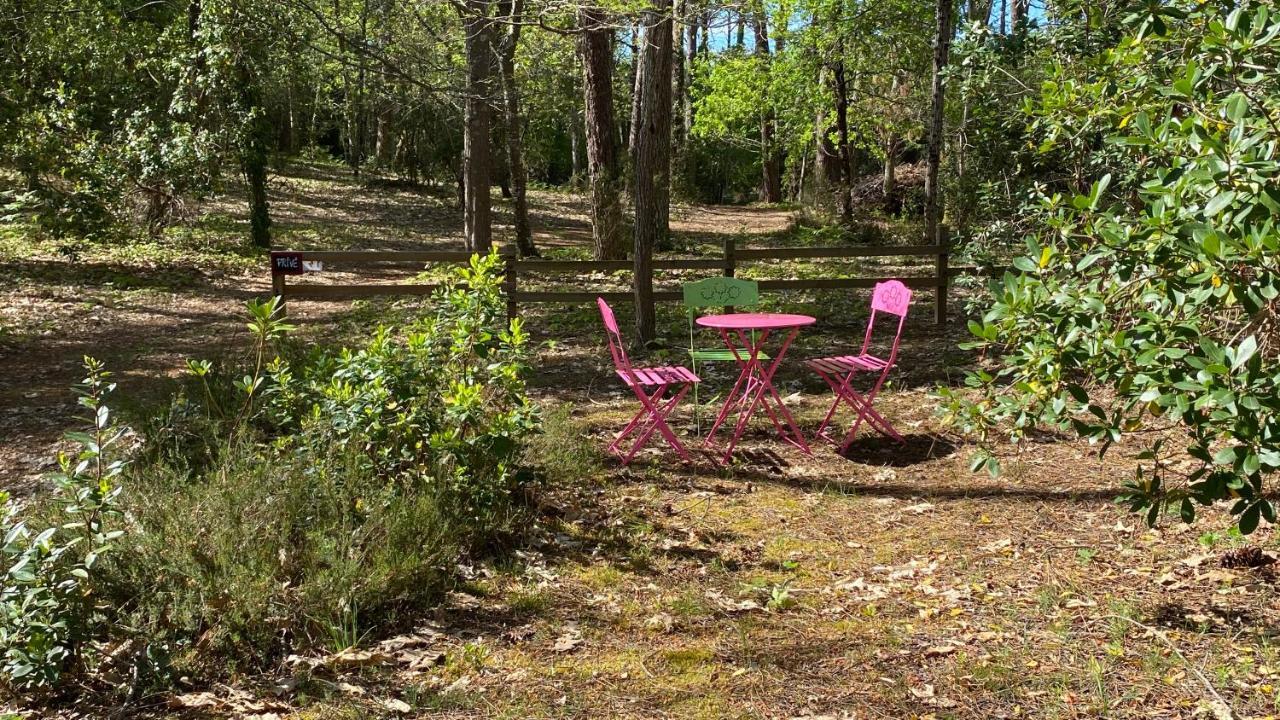 Le Petit Poulailler Au Beau Milieu Des Pins Villa Lacanau Exterior photo